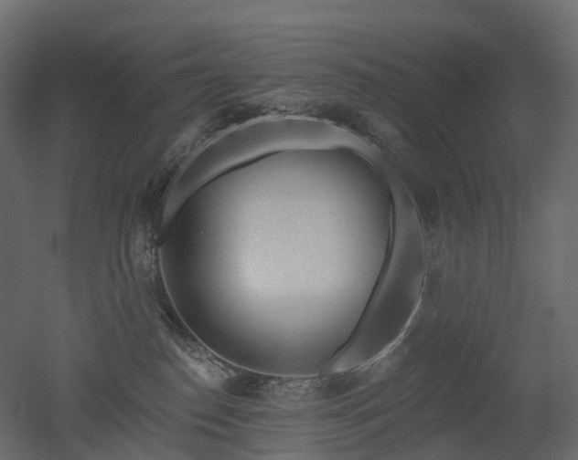 X0000051860186200506241331