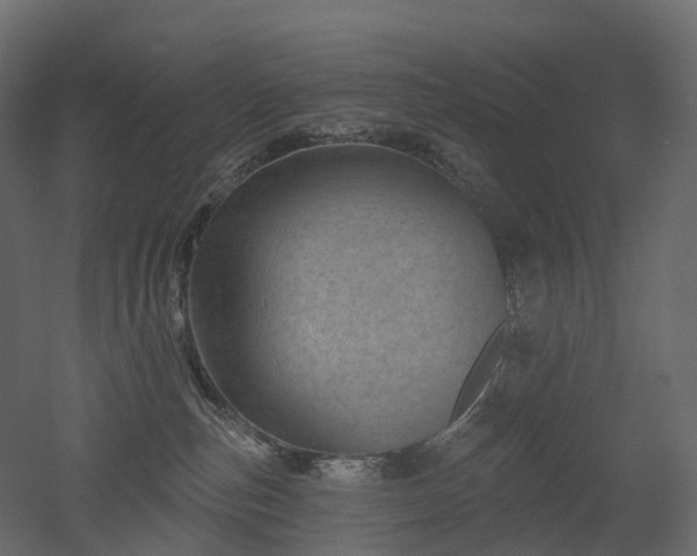 X0000051860187200506241331