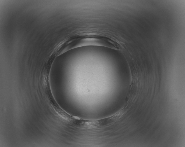 X0000051860188200506241331