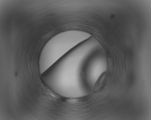 X0000051860189200506241331