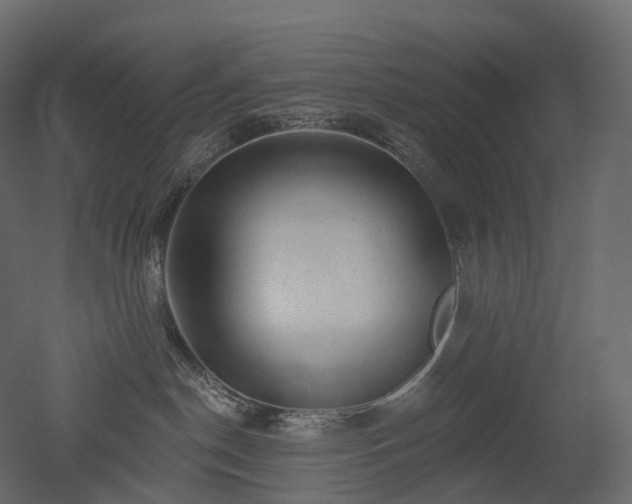 X0000051860190200506241331