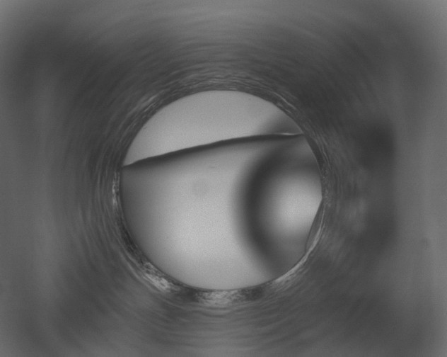 X0000051860191200506241331