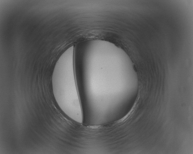 X0000051860192200506241331