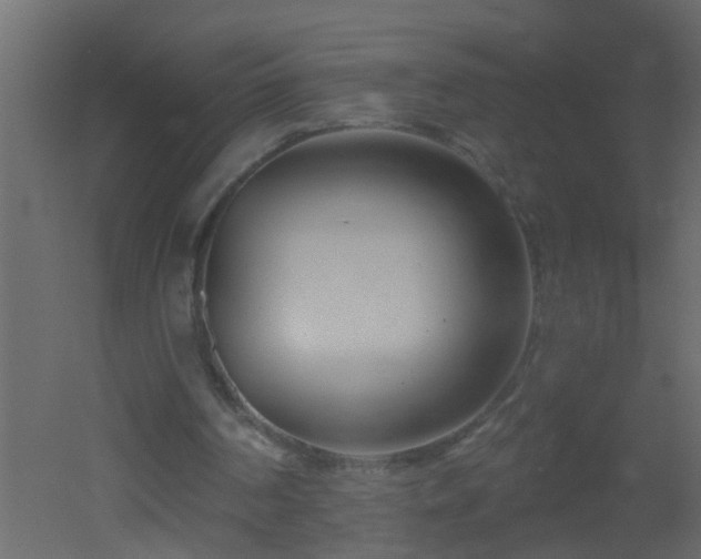 X0000051860194200506241330