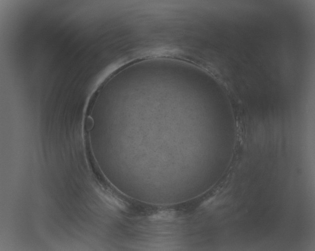 X0000051860196200506241330