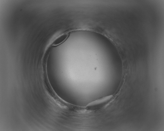 X0000051860198200506241330