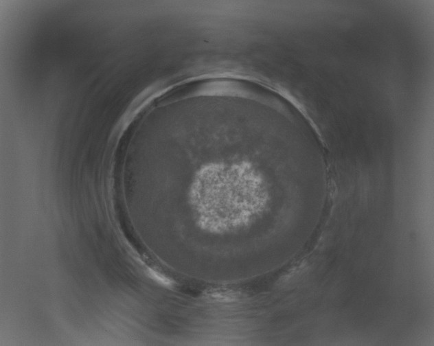 X0000051860199200506241330