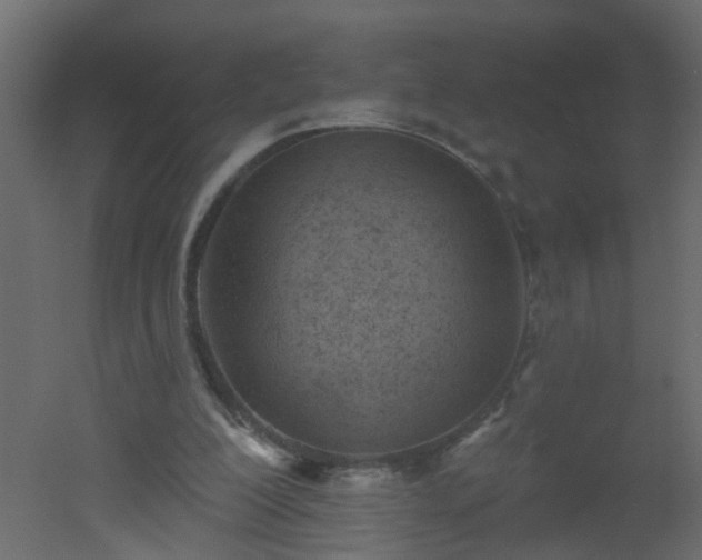 X0000051860200200506241330