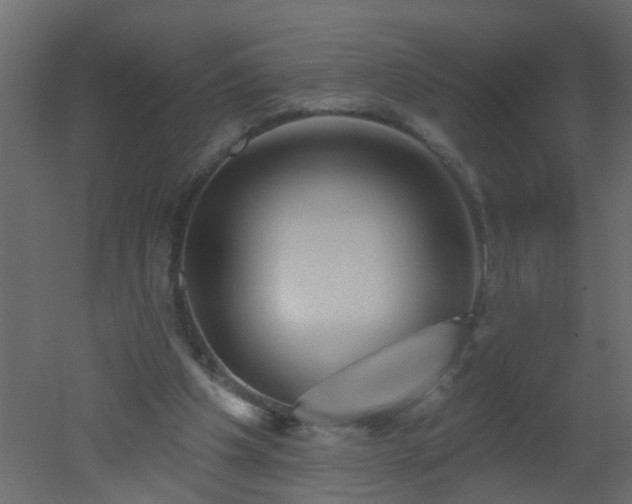 X0000051860201200506241330