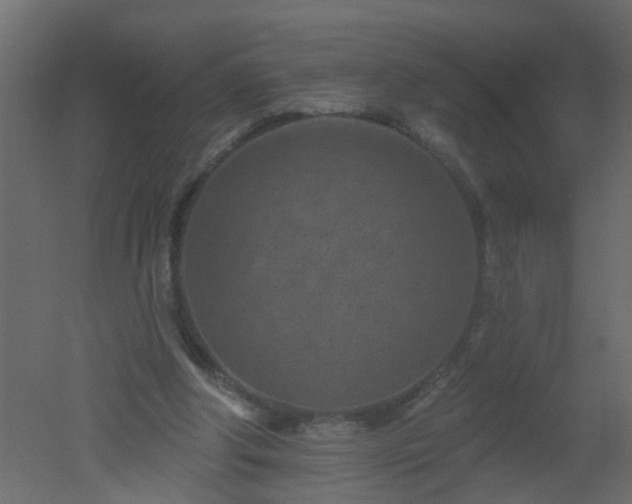 X0000051860202200506241330