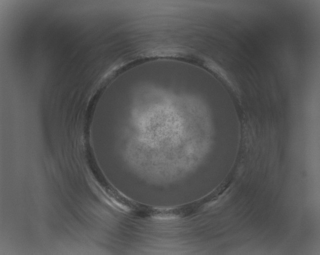 X0000051860203200506241330