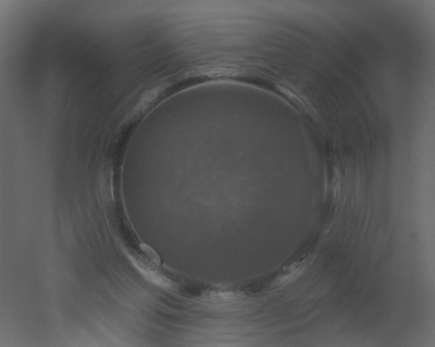 X0000051860205200506241330