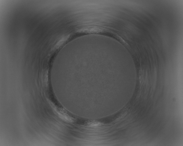 X0000051860206200506241330