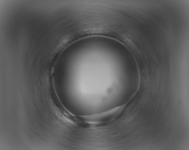 X0000051860207200506241330