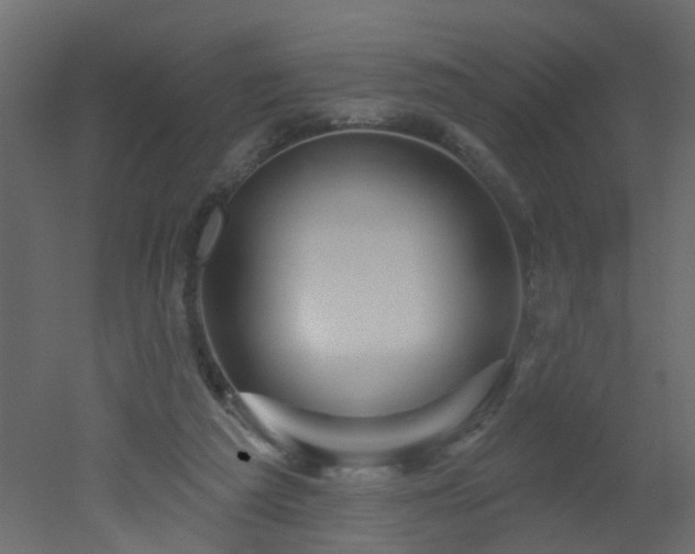 X0000051860209200506241330