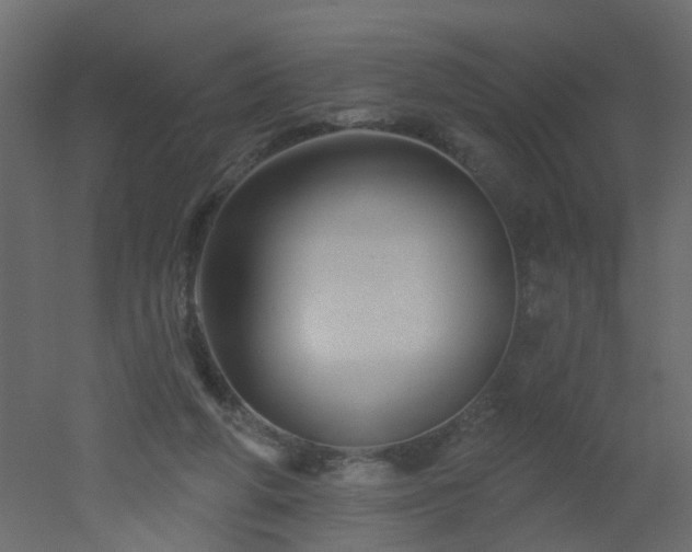 X0000051860210200506241330