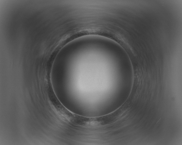 X0000051860212200506241330