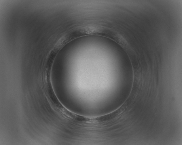 X0000051860214200506241329