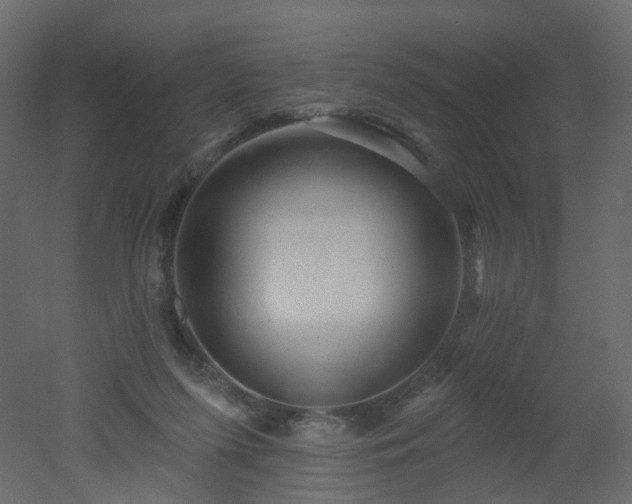 X0000051860215200506241329