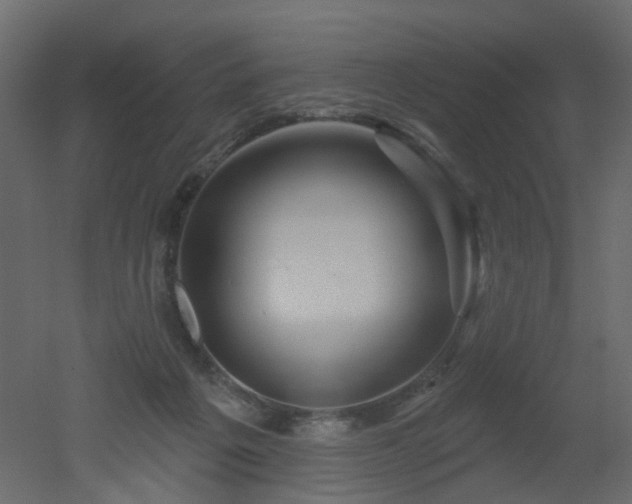 X0000051860217200506241329