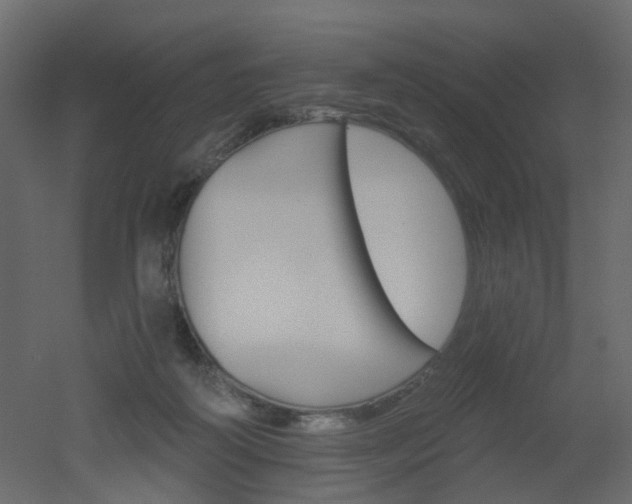 X0000051860218200506241329