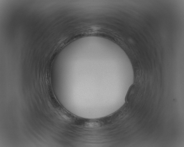 X0000051860220200506241329