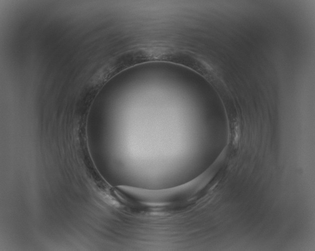 X0000051860221200506241329