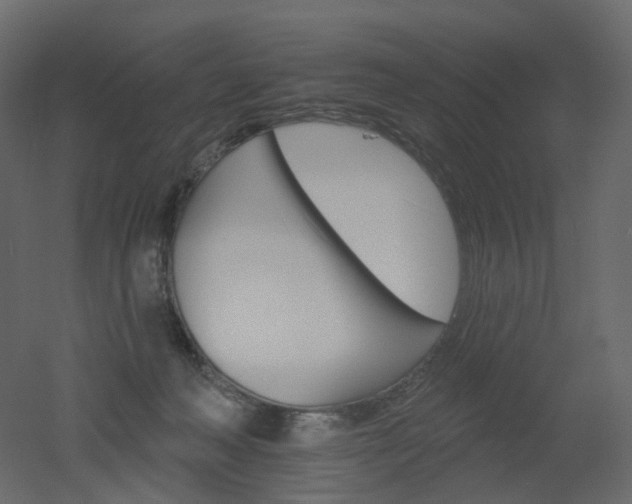 X0000051860222200506241329