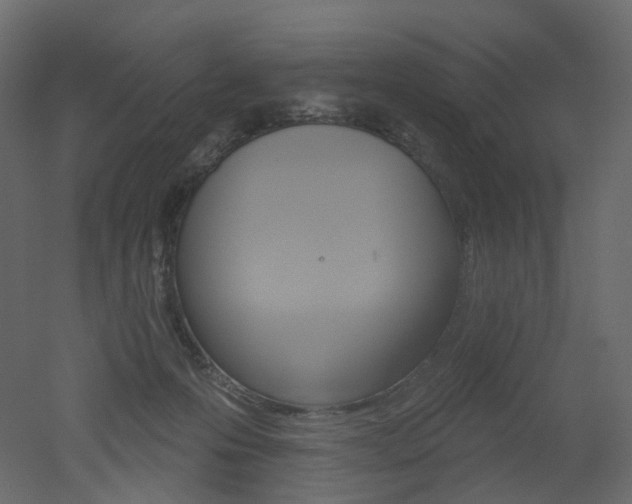 X0000051860223200506241329