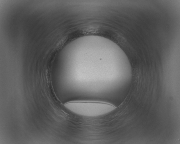 X0000051860224200506241329