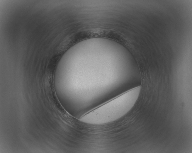 X0000051860225200506241329