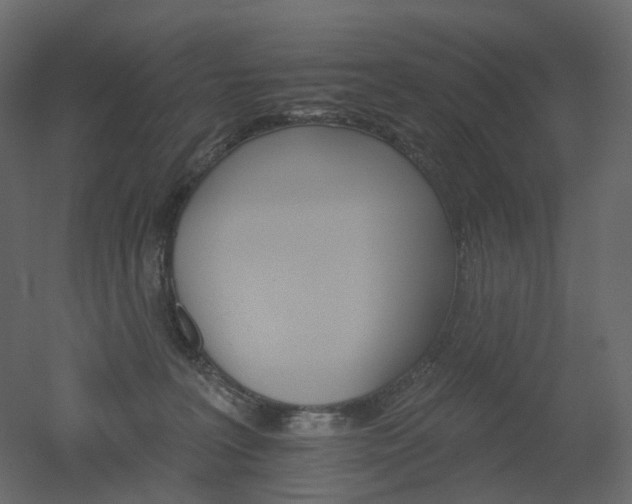 X0000051860227200506241329