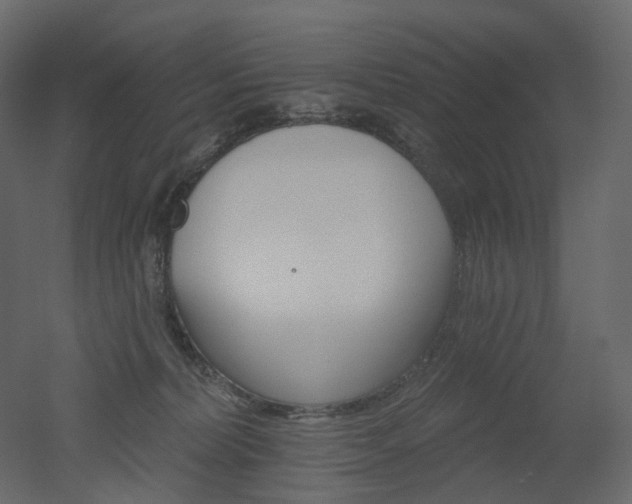 X0000051860228200506241329