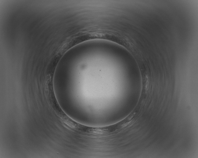 X0000051860229200506241329