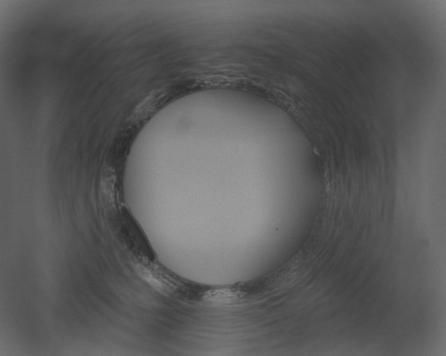 X0000051860231200506241329