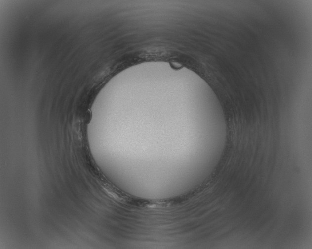 X0000051860232200506241329