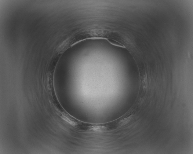 X0000051860233200506241329