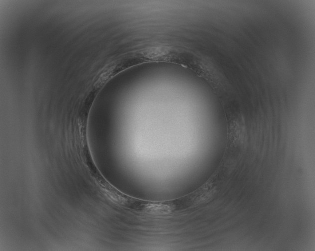 X0000051860234200506241329