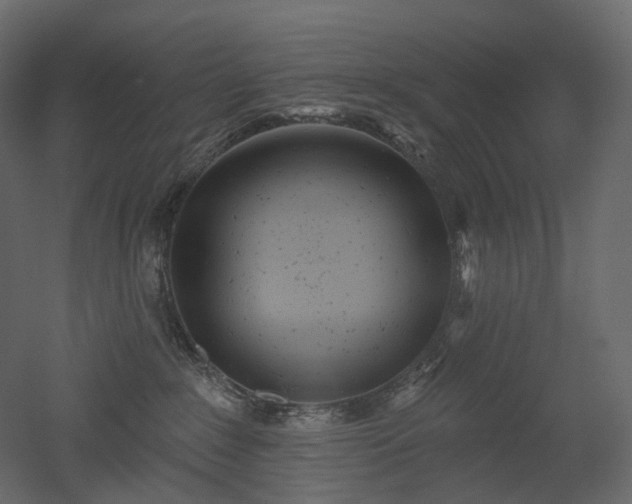 X0000051860235200506241329