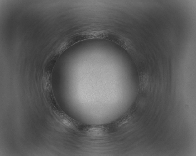 X0000051860236200506241329