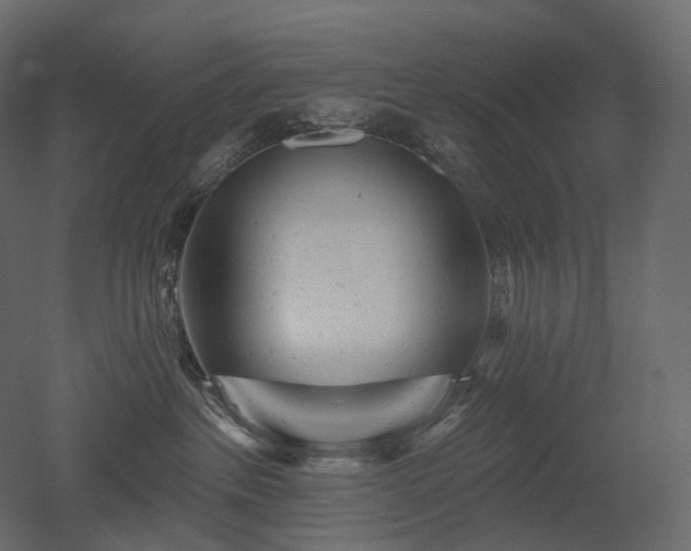 X0000051860237200506241329