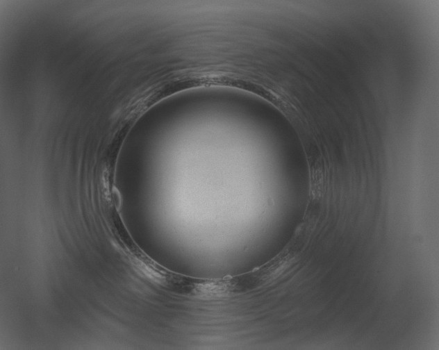 X0000051860238200506241329