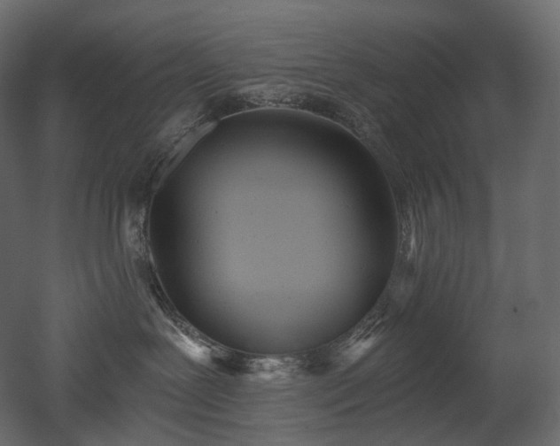 X0000051860239200506241329