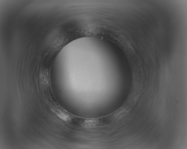 X0000051860240200506241329