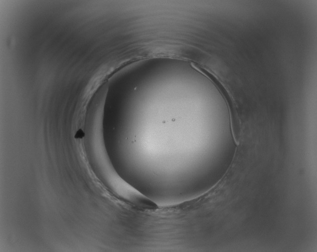 X0000051860241200506241328