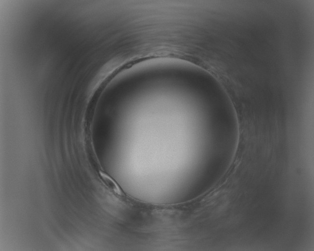 X0000051860242200506241328