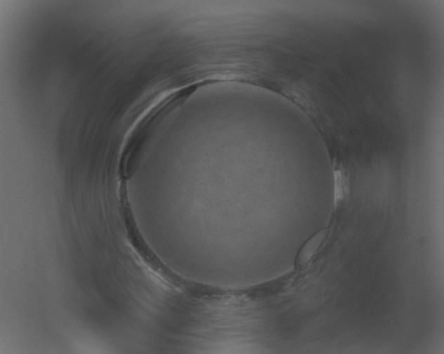 X0000051860243200506241328