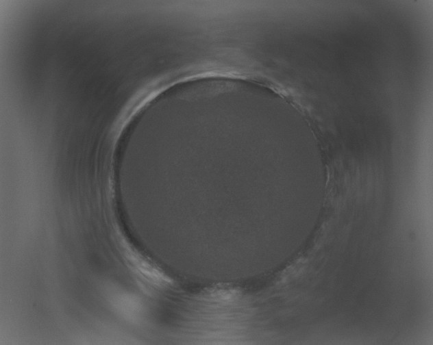 X0000051860247200506241328