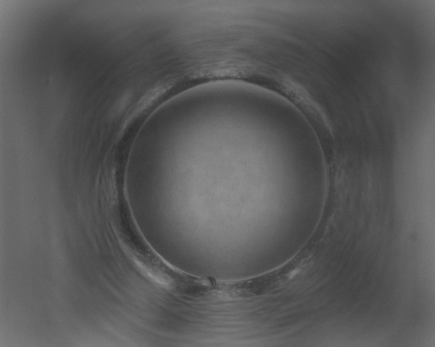 X0000051860250200506241328