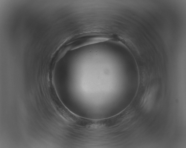 X0000051860251200506241328